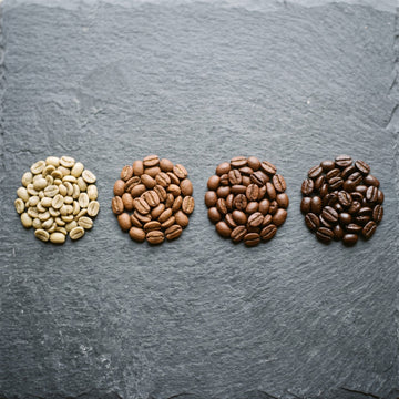 Four types of coffee bean compared side by side showing size, shape and roast colour differences