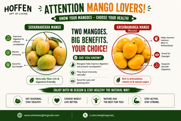 Suvarnarekha vs Krishnamanga mango health benefits infographic - Hoffen