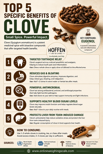 Top 5 health benefits of clove infographic - Hoffen