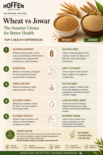 Wheat vs jowar health comparison image - gluten, fiber and nutrients - Hoffen