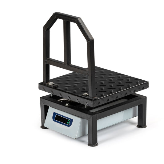 Ace Capacity 100kg x 10g Accuracy, Portable/ Mobile Digital Weighing Scale with Front Back Double Green Display & Detachable Handle, Heavy-Duty Mild Steel Pan,12×12″ for all Commercial Uses