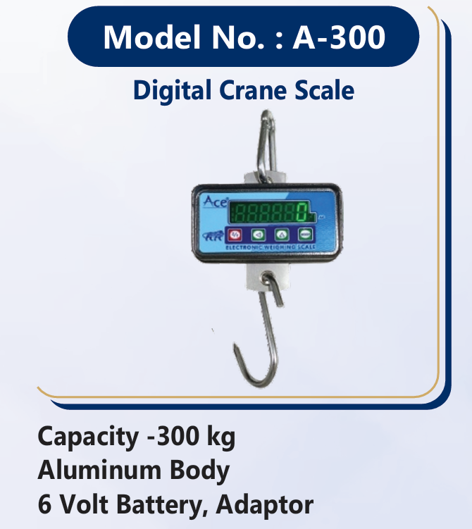 Omace Heavy Duty Digital Hanging Crane Scale 300kg Capacity with 50g Accuracy – Industrial Crane Weight Machine